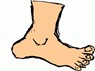 foot