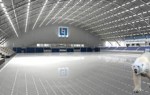 arena_icebear.jpg
