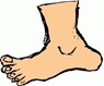 foot