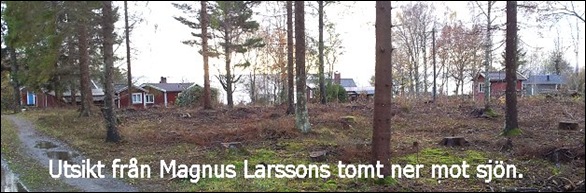 rorvik3