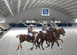 arena_polo.jpg