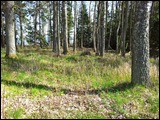 ursandstrask
