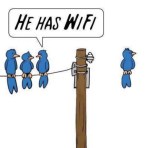 wifi.jpg