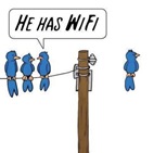 wifi