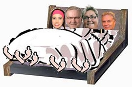 nyalliansen