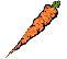 morot_thumb.gif