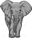elefant