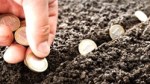 investering4_thumb.jpg