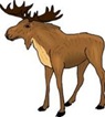 moose2