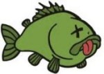 fish_dead.jpg