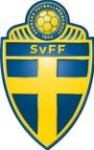 svensk_fotboll.jpg