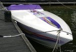 sikhall_bat_
