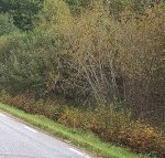 sikhall_namndsbesok_2