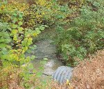 sikhall_namndsbesok_6