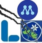 miniallians_spricka_NY