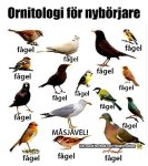 fiskmas_ornitologi23