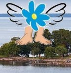 SD_intefotternapajorden