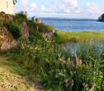 sikhallsmagasin_servicevag1