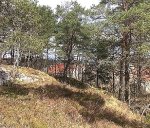 Rostvagen_Foto_naturinventering