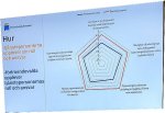 politiker_tjansteman_spindeldiagr1