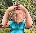 BennyJonasson_rostvagen_misstag