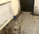 Hnasaula_fuktvaggar2