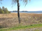 Sikhall2026_blivandestrand