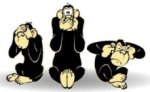 monkeys2026